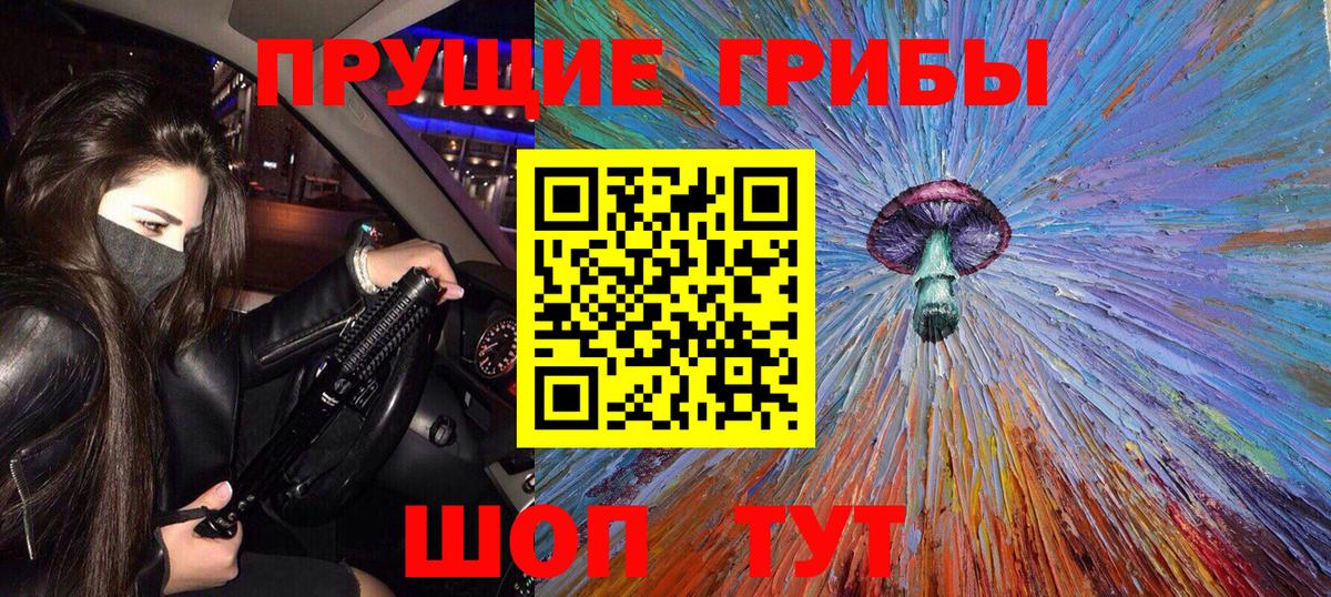 Псилоцибиновые грибы Cubensis  Вход с VPN  Дзержинск 